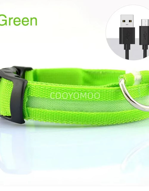Load image into Gallery viewer, Dog Luminouscollar Anti-Lost Glowing LED Light Pet Collar Collar for Small Medium Large Dogs Collars Leads Safety Necklace
