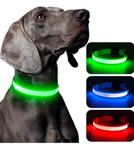 Dog Luminouscollar Anti-Lost Glowing LED Light Pet Collar Collar for Small Medium Large Dogs Collars Leads Safety Necklace