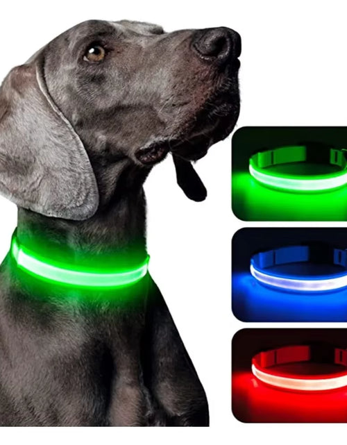 Load image into Gallery viewer, Dog Luminouscollar Anti-Lost Glowing LED Light Pet Collar Collar for Small Medium Large Dogs Collars Leads Safety Necklace

