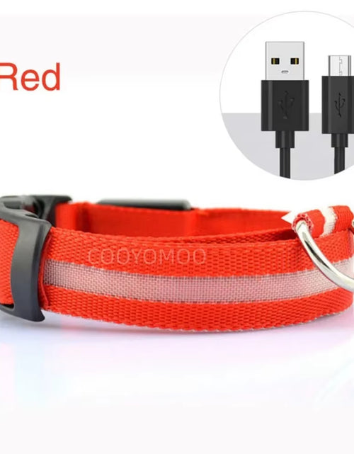 Load image into Gallery viewer, Dog Luminouscollar Anti-Lost Glowing LED Light Pet Collar Collar for Small Medium Large Dogs Collars Leads Safety Necklace
