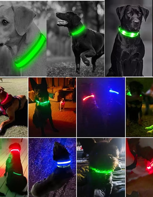 Load image into Gallery viewer, Dog Luminouscollar Anti-Lost Glowing LED Light Pet Collar Collar for Small Medium Large Dogs Collars Leads Safety Necklace
