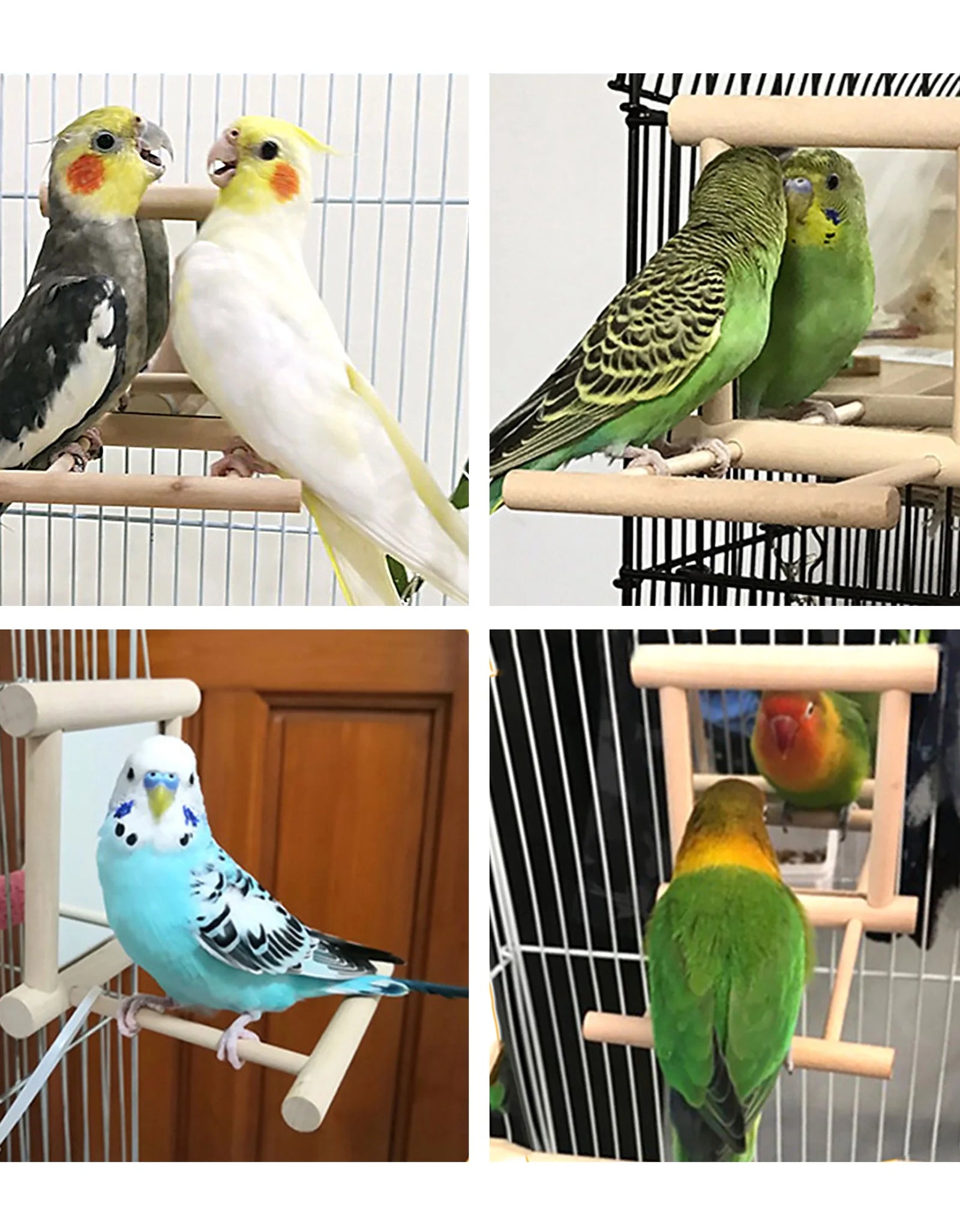 Bird Toy, Bird Mirror for Parakeet Cockatoo Cockatiel Conure Lovebird Canaries