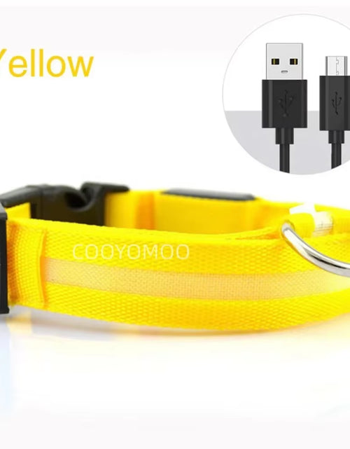 Load image into Gallery viewer, Dog Luminouscollar Anti-Lost Glowing LED Light Pet Collar Collar for Small Medium Large Dogs Collars Leads Safety Necklace
