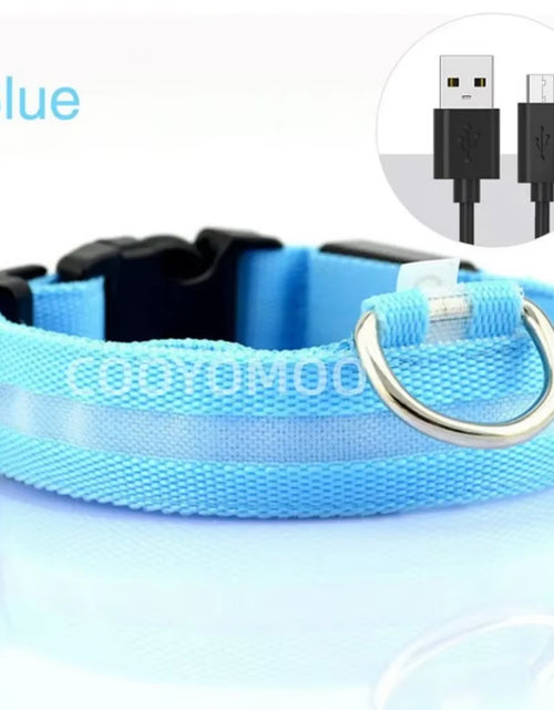 Load image into Gallery viewer, Dog Luminouscollar Anti-Lost Glowing LED Light Pet Collar Collar for Small Medium Large Dogs Collars Leads Safety Necklace
