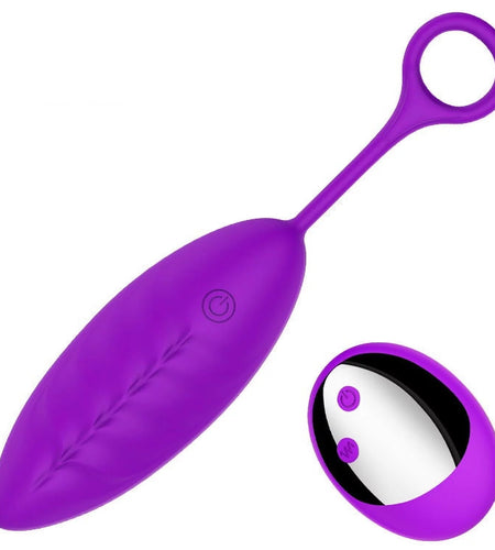 Remote Control Vibrating Egg Silicone Wireless Bullet Vibrators USB Rechargeable Massage Ball Adult Sex Toys for Women(Purple)