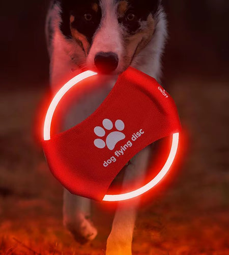 Pet Supplies Dog Toys Glow in the Dark Flying Discs Trainning Interactive Game Throwing Catching Ring for Small Medium Large Dog