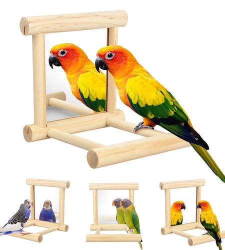 Bird Toy, Bird Mirror for Parakeet Cockatoo Cockatiel Conure Lovebird Canaries