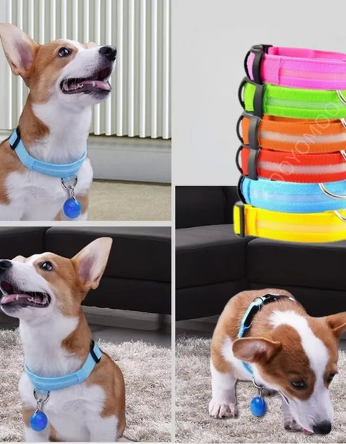 Load image into Gallery viewer, Dog Luminouscollar Anti-Lost Glowing LED Light Pet Collar Collar for Small Medium Large Dogs Collars Leads Safety Necklace
