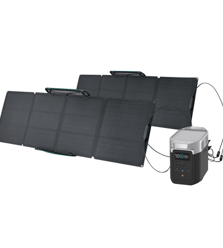 DELTA 2 Portable Power Station with 2-Piece 110W Solar Panel