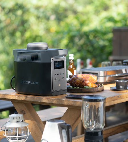 DELTA 2 Portable Power Station with 2-Piece 110W Solar Panel